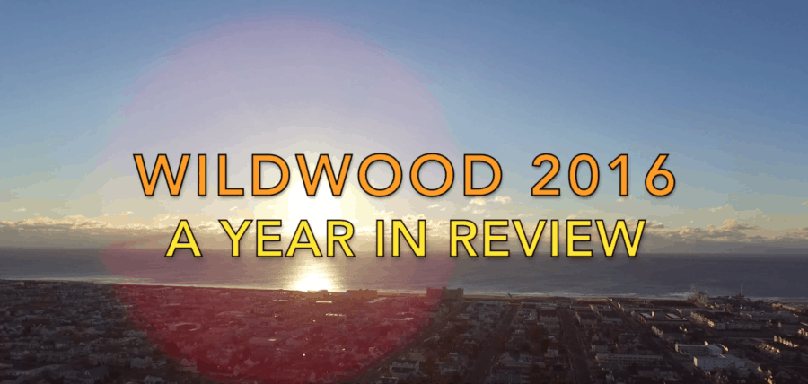 Wildwood: A Year In Review