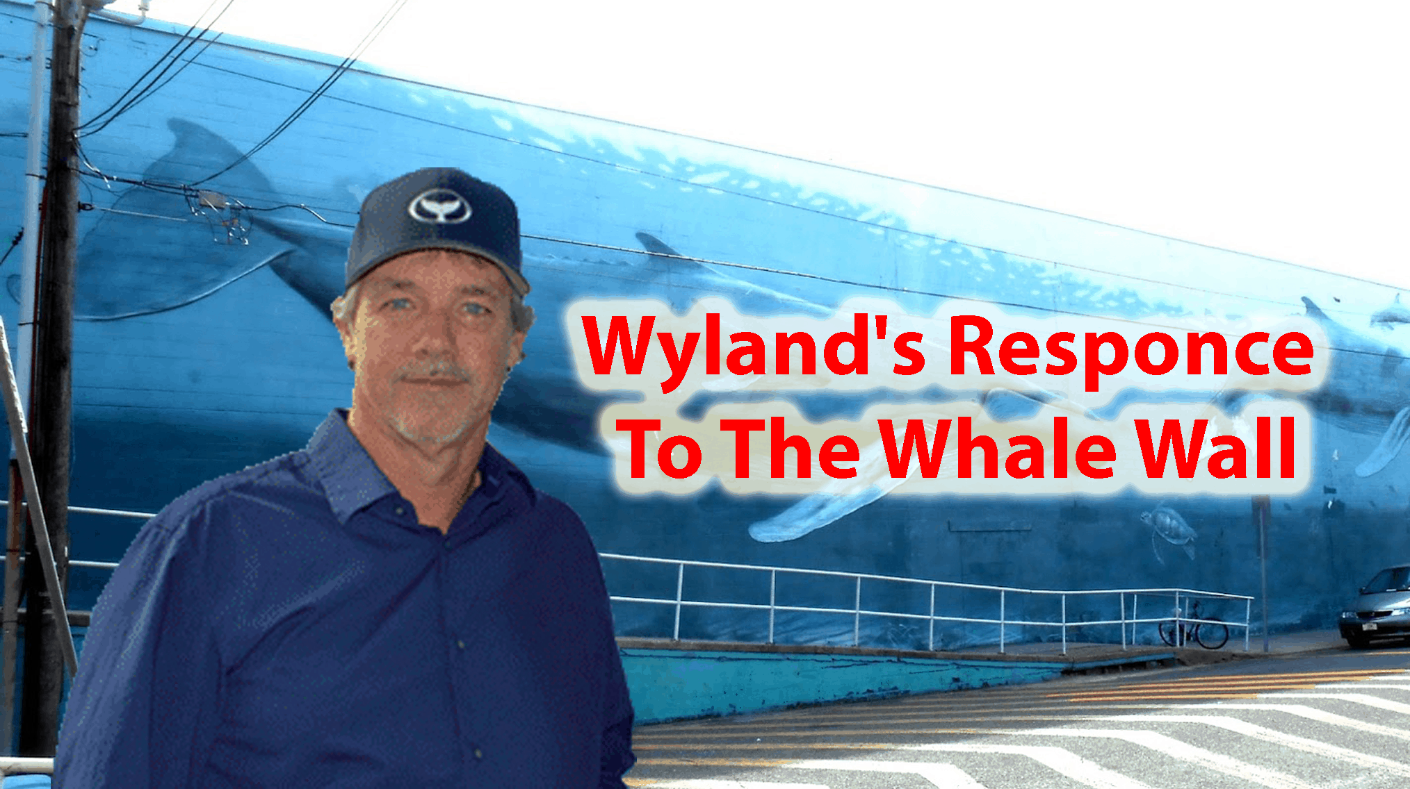Wyland's Responce To The Whale Wall