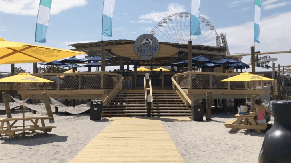 PigDog Beach Bar Tour Wildwood Video Archive