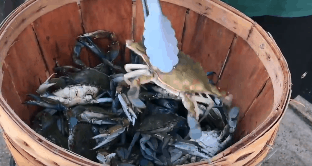 How Do You Cook Your Crabs