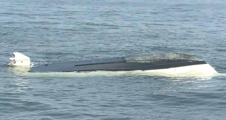 Whale Flips Boat In North Jersey