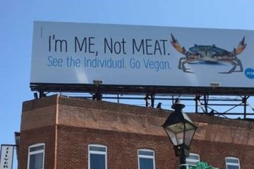 PETA Says Stop Eating Crabs Via Billboard