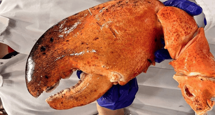 Did You See Costco's Massive 3-Pound Lobster Claws?