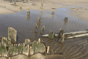 Old Whaling Pier UnEarthed In Cape May