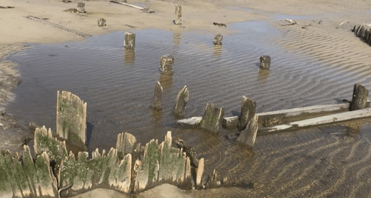 Old Whaling Pier UnEarthed In Cape May