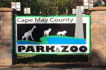 Cape May County Zoo Named Best Zoo In NJ