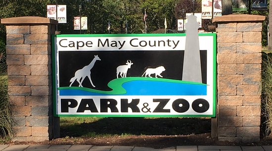 Cape May County Zoo Named Best Zoo In NJ