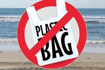 Should Wildwood Consider A Plastic Bag Ban