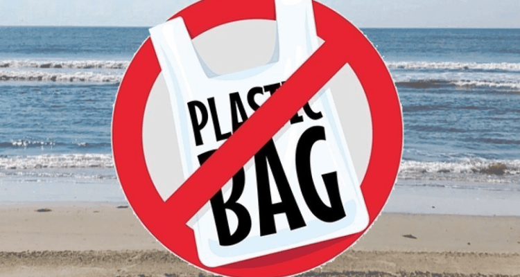 Should Wildwood Consider A Plastic Bag Ban