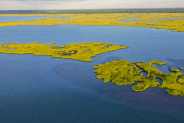 Wildwood Private Island Up For Sale