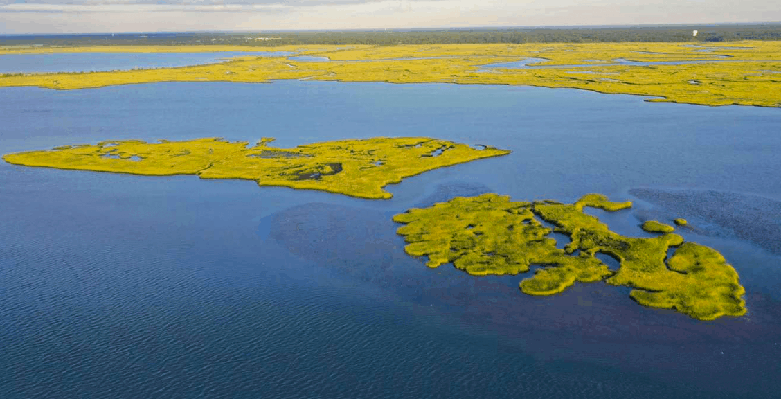 Wildwood Private Island Up For Sale