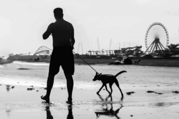 Explaining N. Wildwood’s NEW “Dogs On The Beach” Rule