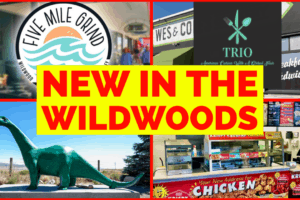 NEW In The Wildwoods 2021!