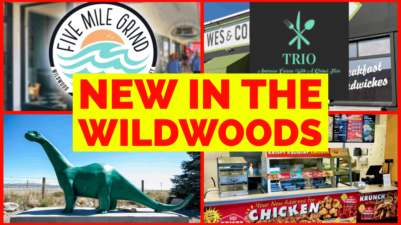 NEW In The Wildwoods 2021!