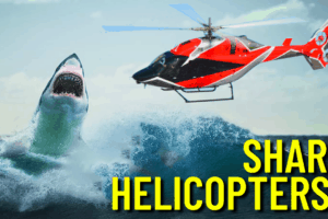Wildwood Shark Helicopters?