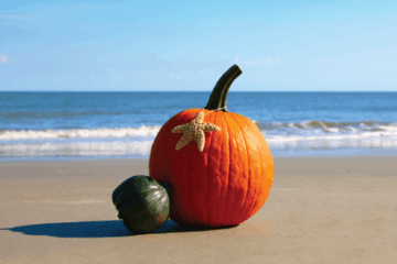 Things to Do In Cape May County In The Fall