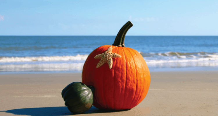 Things to Do In Cape May County In The Fall