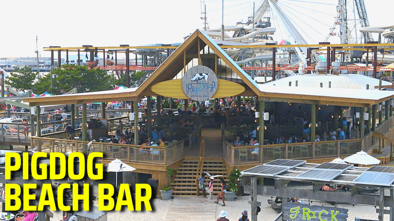 PigDog Beach Bar Tour 2022 - Massive Renovations