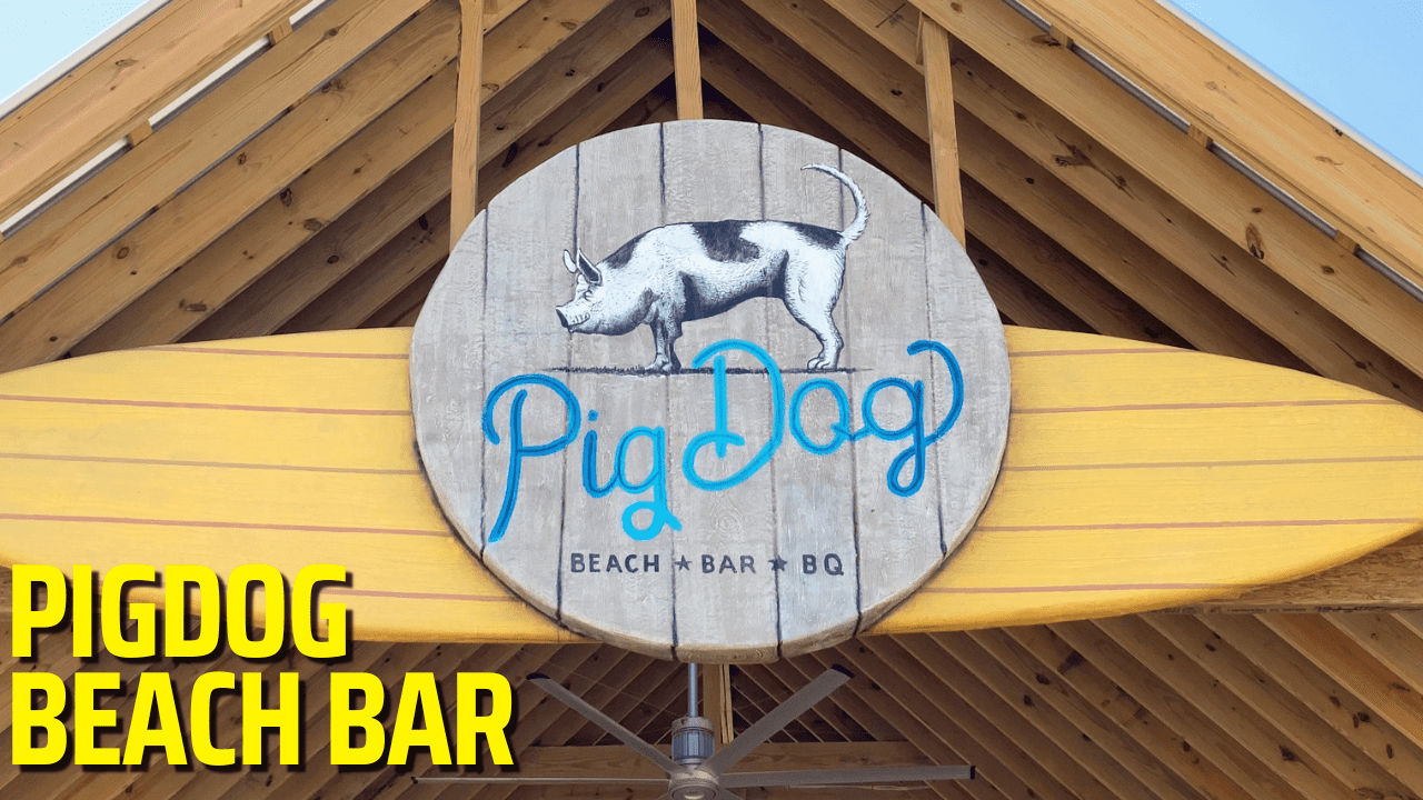 PigDog Beach Bar Tour 2022 - Massive Renovations