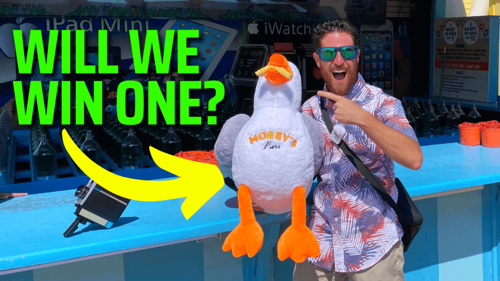 Trying To Win A Sunny the Seagull - Morey's Piers - Wildwood Video Archive