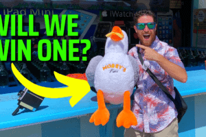 Trying To Win A Sunny the Seagull - Morey's Piers