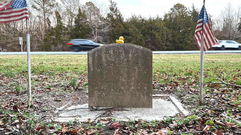 Hidden Grave On the Garden State Parkway - Wildwood Video Archive
