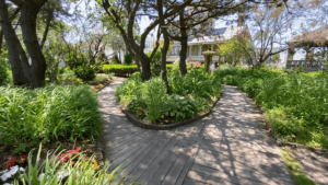 A wooden forked pathway in a lush garden with trees and greenery.