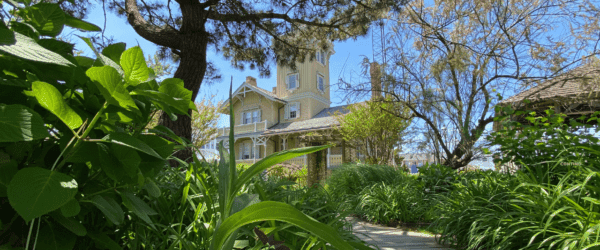 Hidden Gardens of The Wildwoods