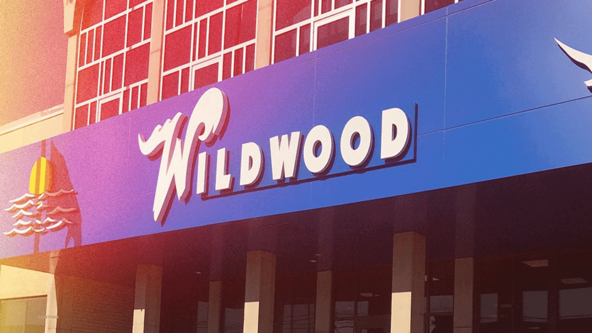 Wildwood Comments on New Local Laws