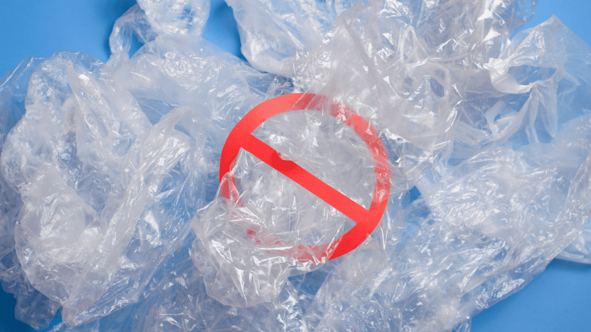 New Jersey’s Plastic Bag Ban Failed Wildwood Video Archive