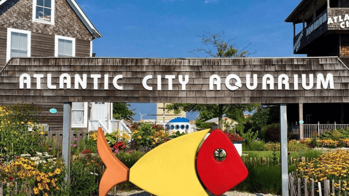 Atlantic City Aquarium to Officially Reopen This Summer! - Wildwood ...