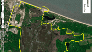 A satellite view of a coastal wetland area with water bodies and vegetation.