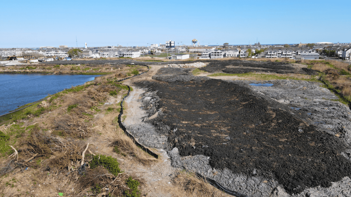 The Wildwood Landfill 2024 Looking North Wildwood Video Archive the-wildwood-landfill-2024-looking-north-wildwood-video-archive