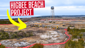 Cape May Higbee Beach Wildlife Restoration Project EXPLAINED