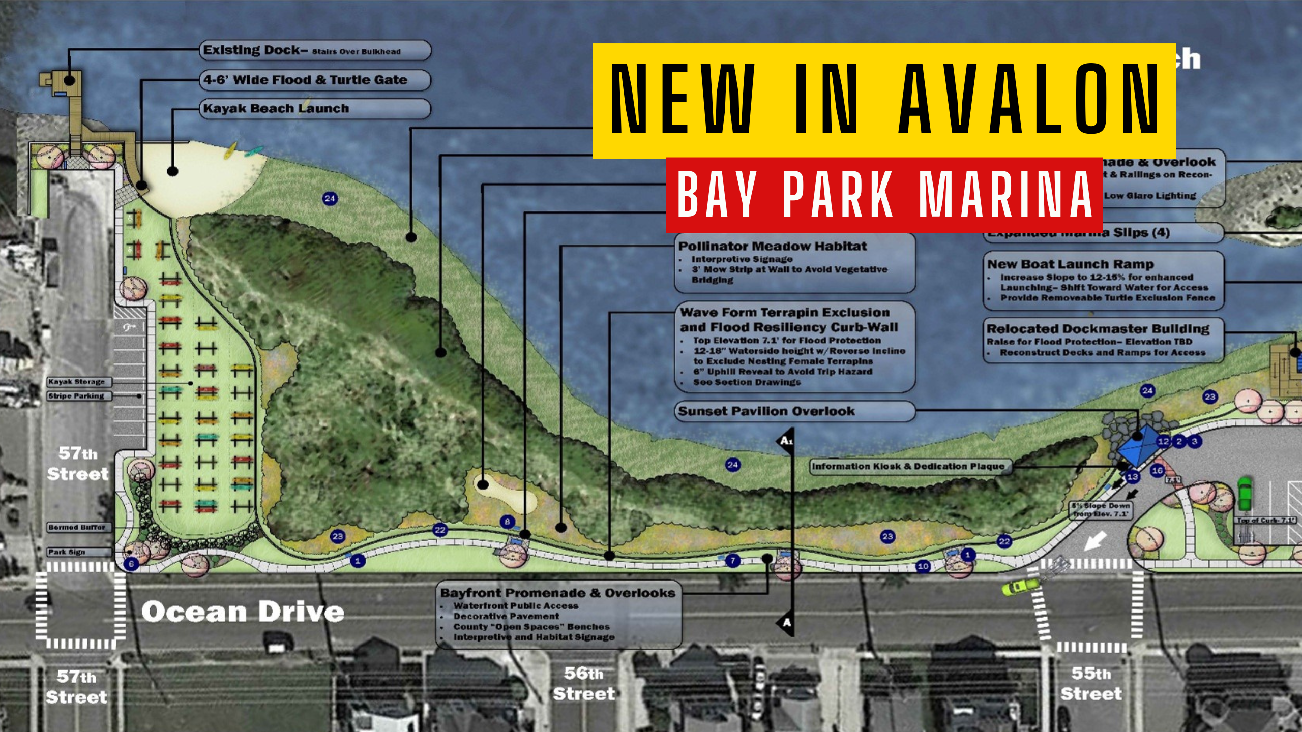 Avalon To Build Living Shoreline at Bay Park Marina