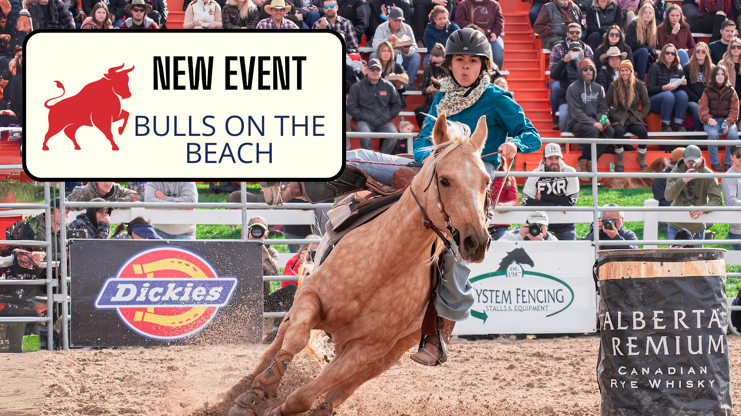 Bulls on The Beach Coming to the Wildwoods