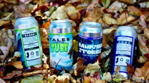 Two colorful beer cans placed on dry autumn leaves.