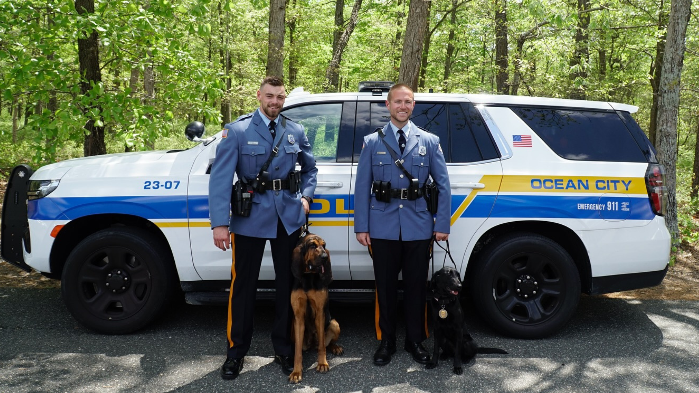 Meet the Newest Members of the Ocean City Police K-9 Unit