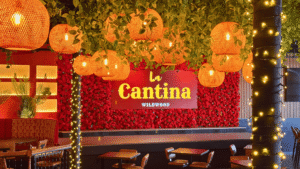 Warm Halloween cantina with pumpkin lanterns and festive decor.