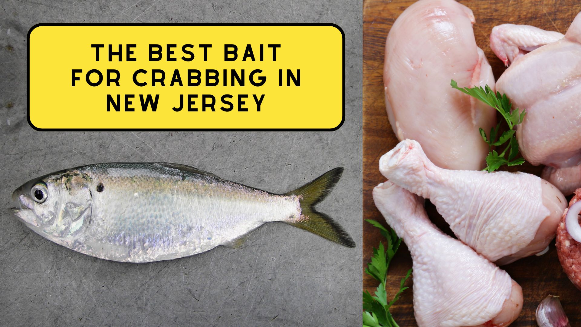 The Best Bait for Crabbing in New Jersey