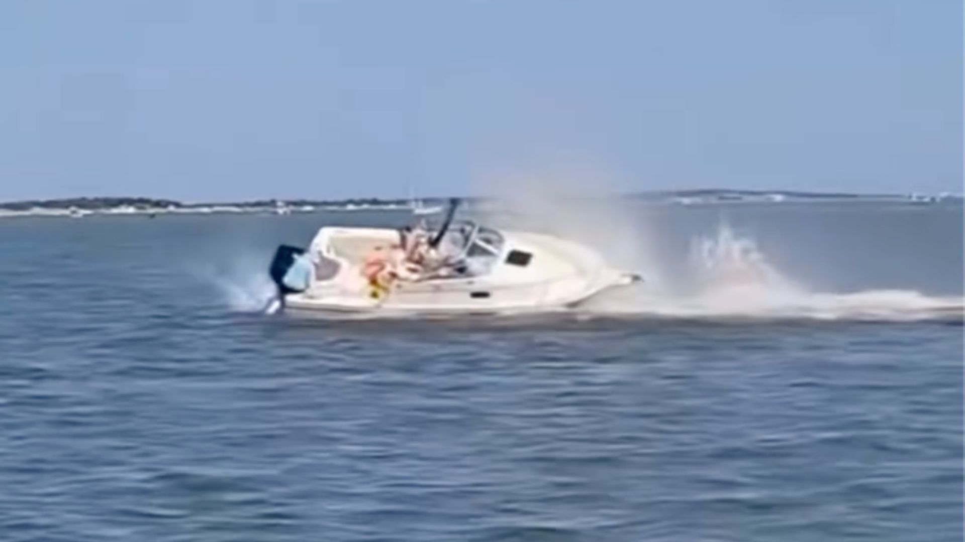 Whale Dies After Boat Collision At the Jersey Shore