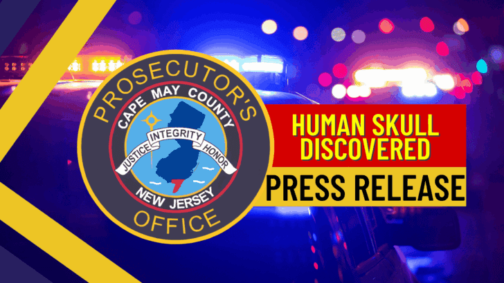 Human Skull Discovered in Woods in Whitesboro Section of Middle Township