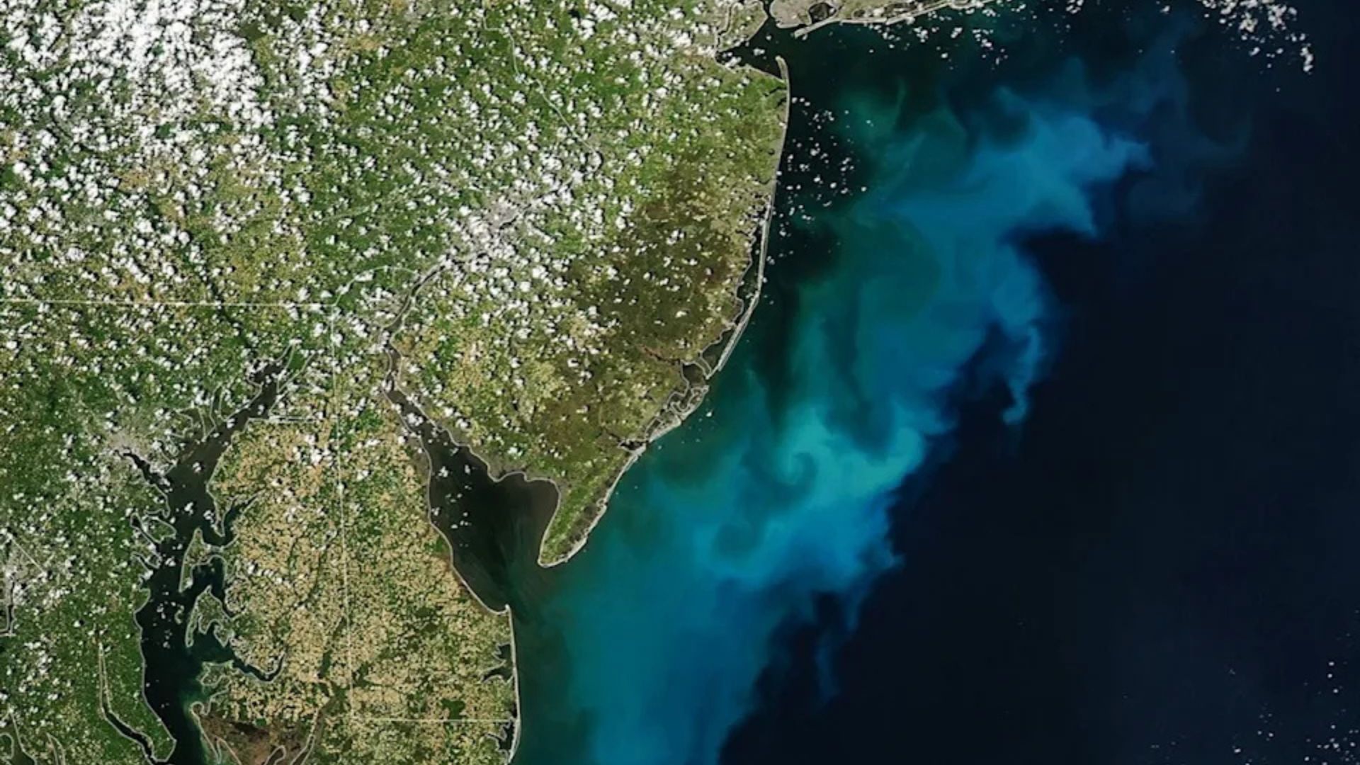 Massive Blue and Green Ocean Bloom Off New Jersey Coast