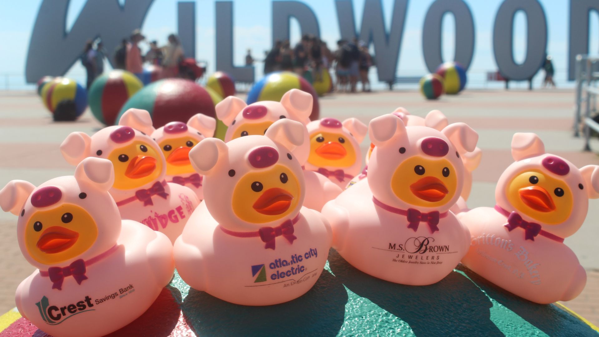 Wildwood's Rubber Ducky Regatta Is Making a Comeback