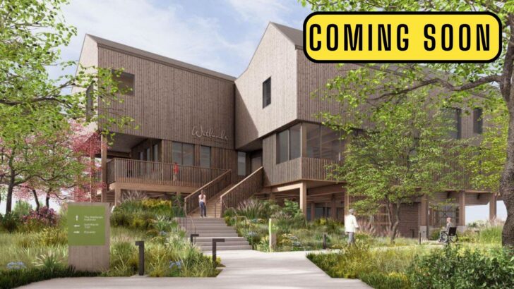 The Wetlands Institute Is Getting a Massive Transformation