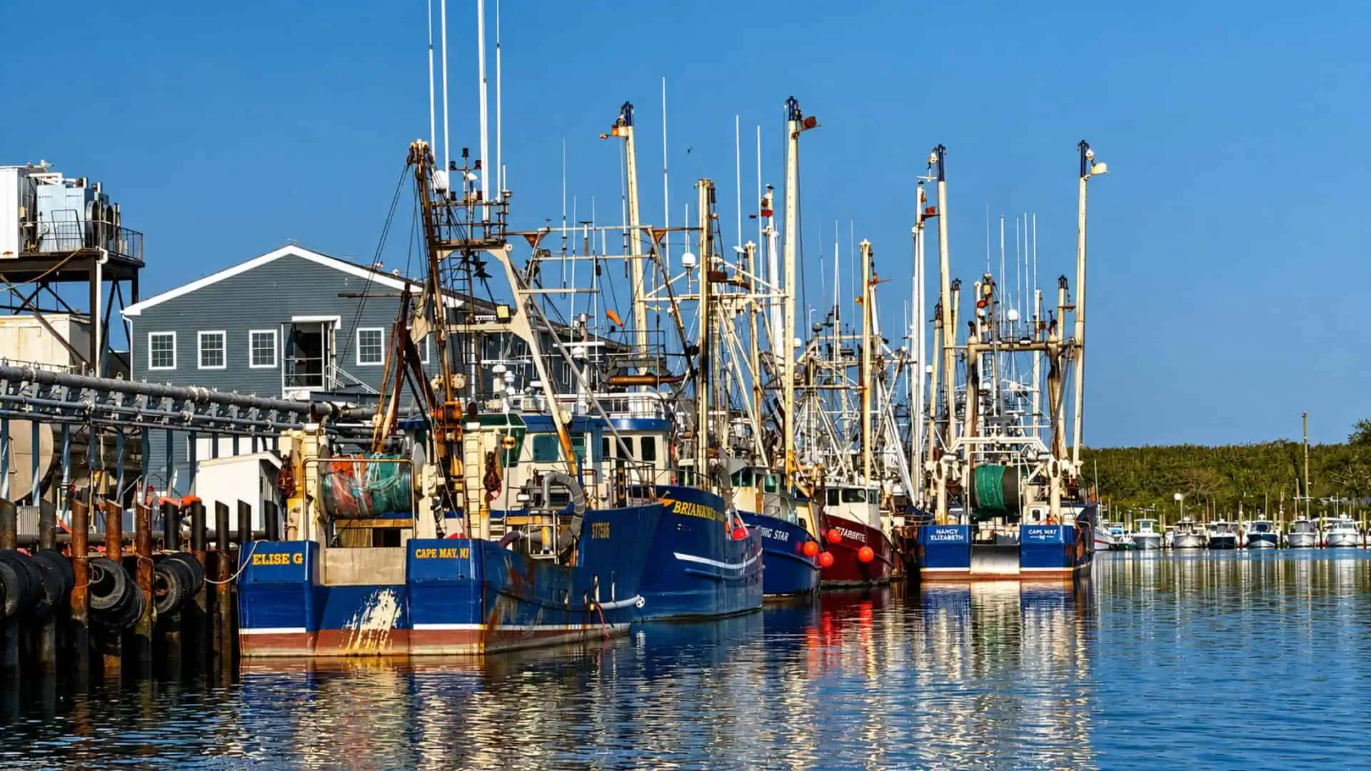 Cape May Was Built on Fishing with Over 300 Years of History